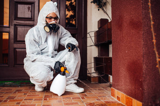 Reliable Wasp Removal contractor in Redwood, TX by Show Me Pest Control